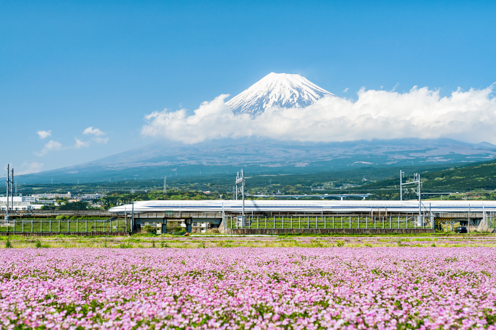 Shizuoka