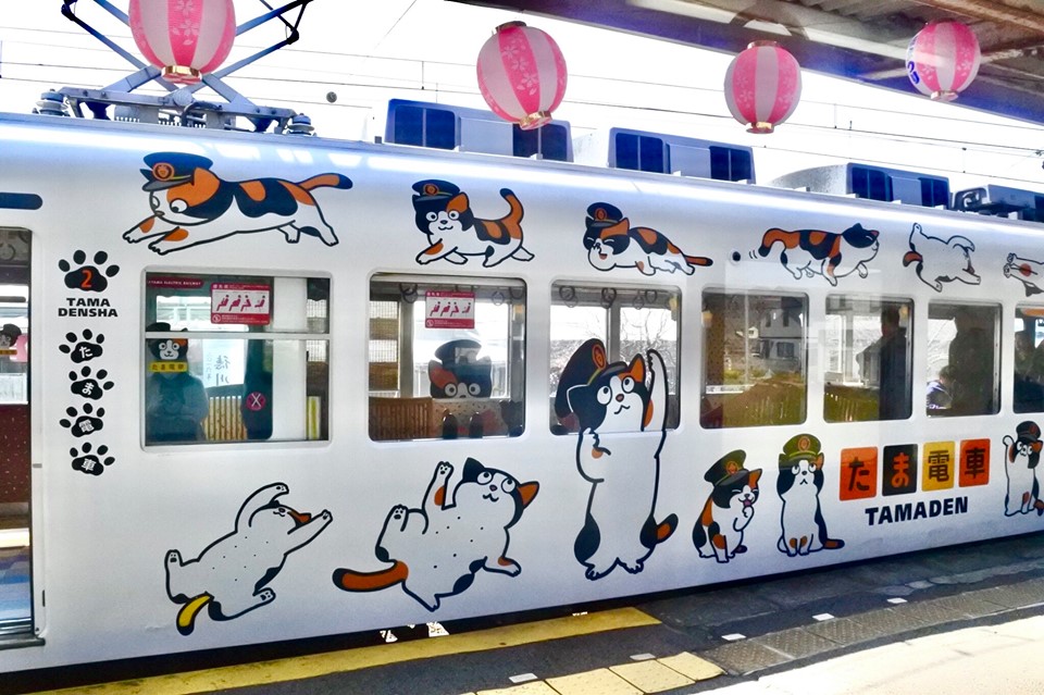 รถไฟแมว TAMADEN