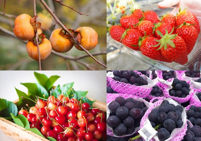 Five Japanese fruits to try when you’re in Japan - fromJapan