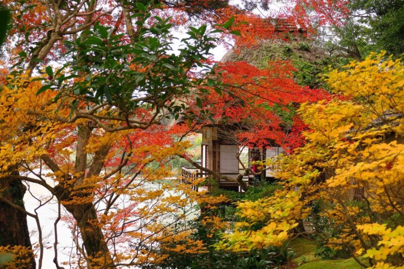 thatched-roof house facing the Hijikawa River