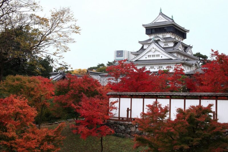 Kokura Castle in fall