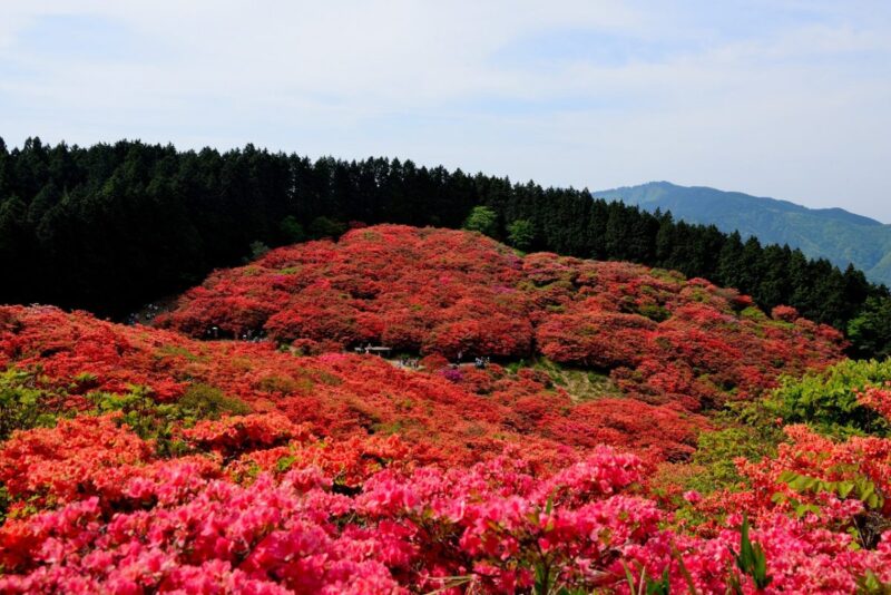 Mount Katsuragi