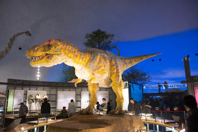 พิพิธภัณฑ์ไดโนเสาร์ฟุกุอิ Fukui Prefectural Dinosaur Museum จังหวัดฟุกุอิ