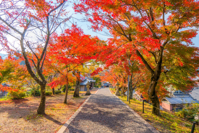 shiga prefecture tourism