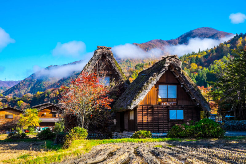 10 amazing things to do in Gifu, Japan! - fromJapan