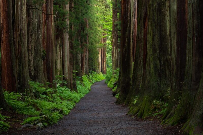 tourist spots in nagano japan