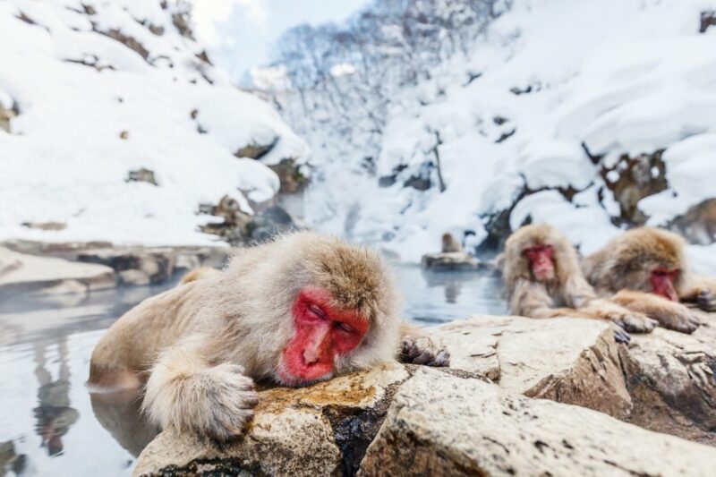 tourist spots in nagano japan