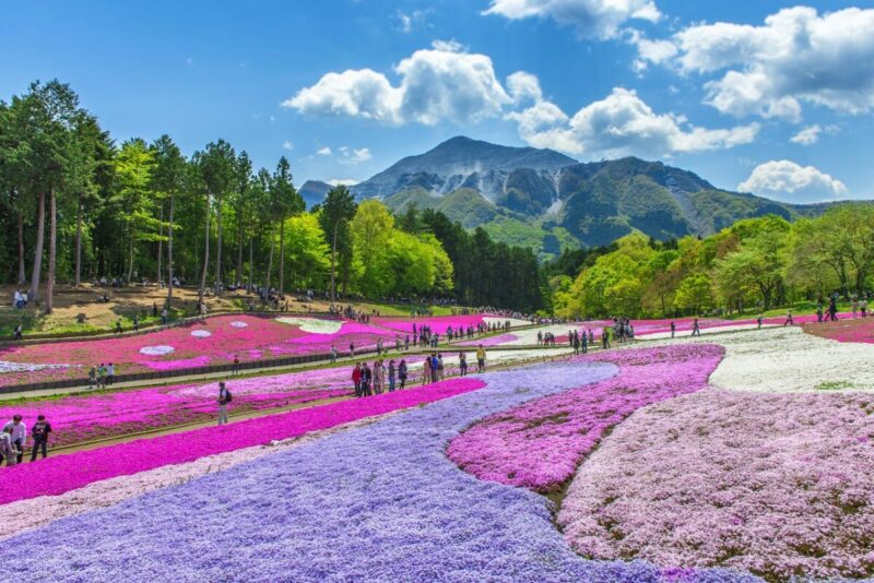 tourist attractions in saitama japan