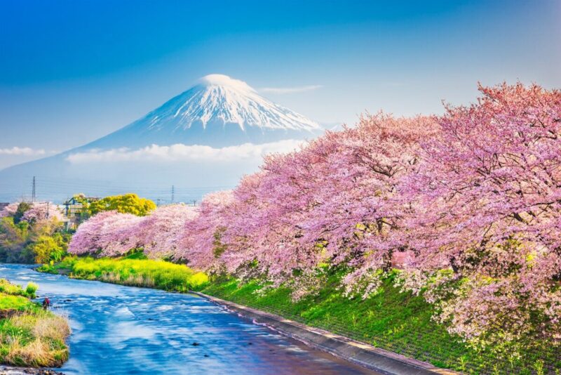 10 amazing things to do in Shizuoka, Japan! - fromJapan