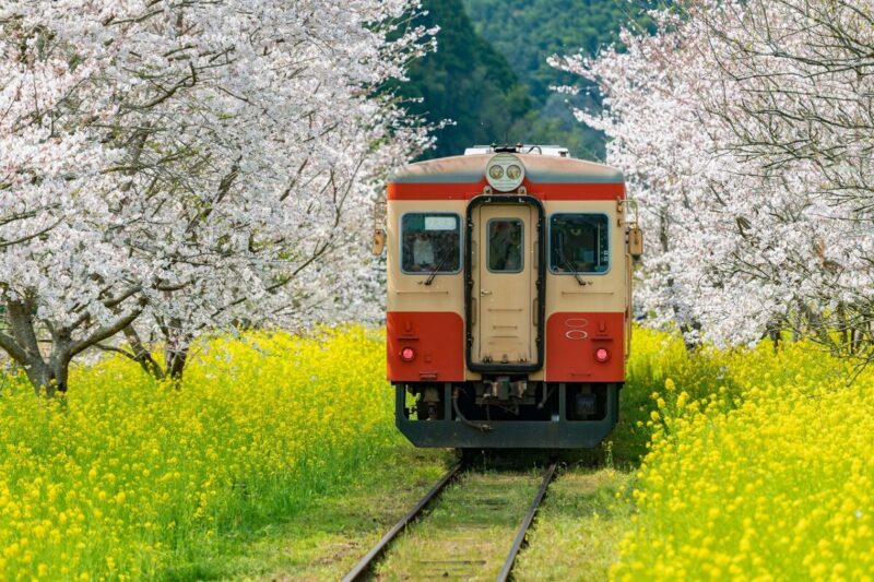 chiba prefecture tourist spot