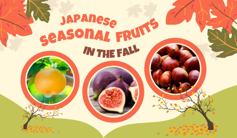 ARANOYAS: On Japanese Appliances and Fruit Parfaits: Two More Reasons to  Visit Kamiooka