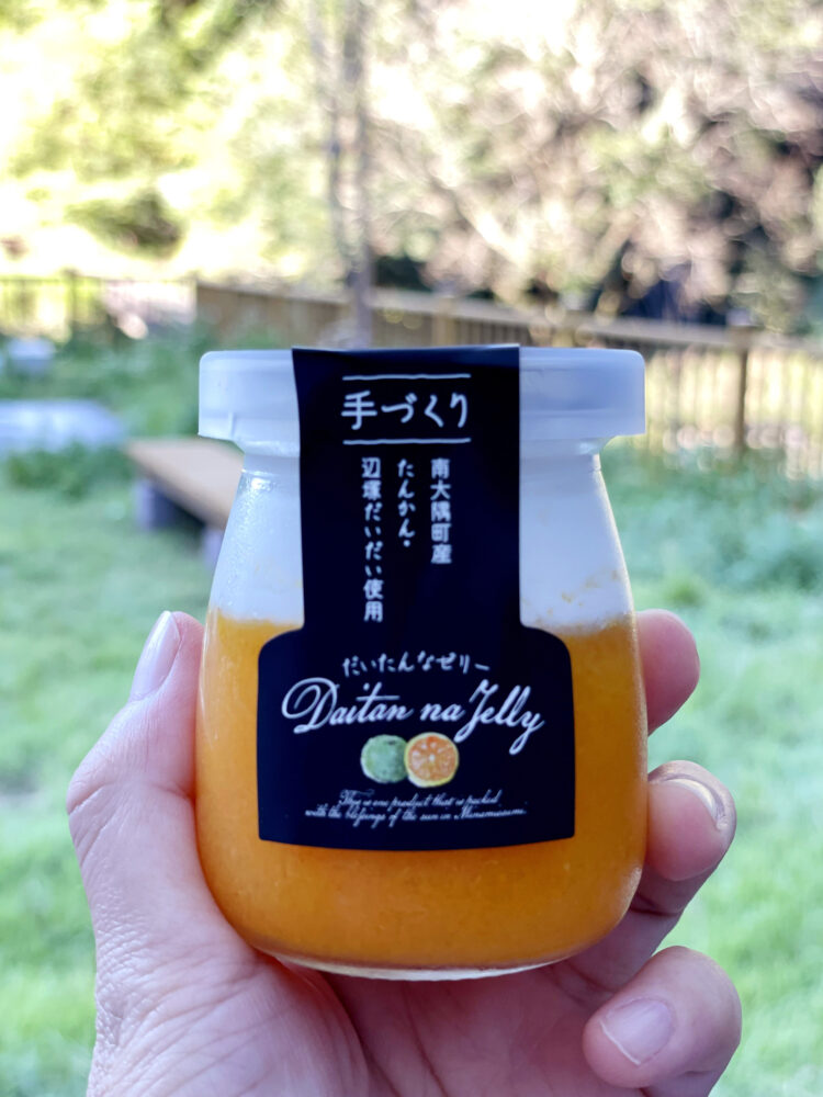 Ogawa Falls น้ำส้ม Tankan 03