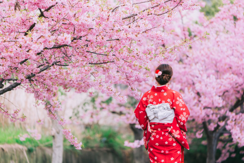 What you need to know about spring traditions in Japan - fromJapan