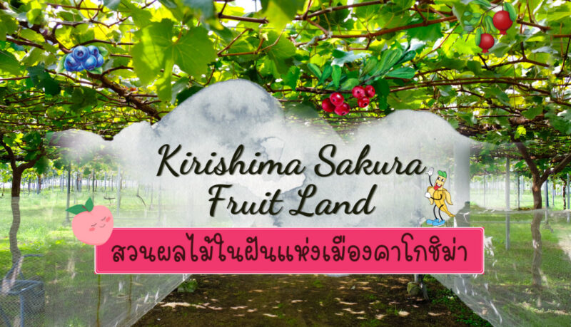 Kirishima Sakura Fruit Land คาโกชิม่า