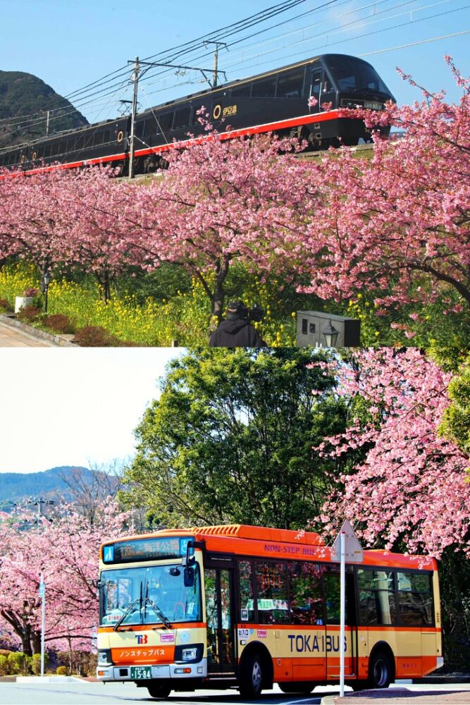 TOKAI BUS