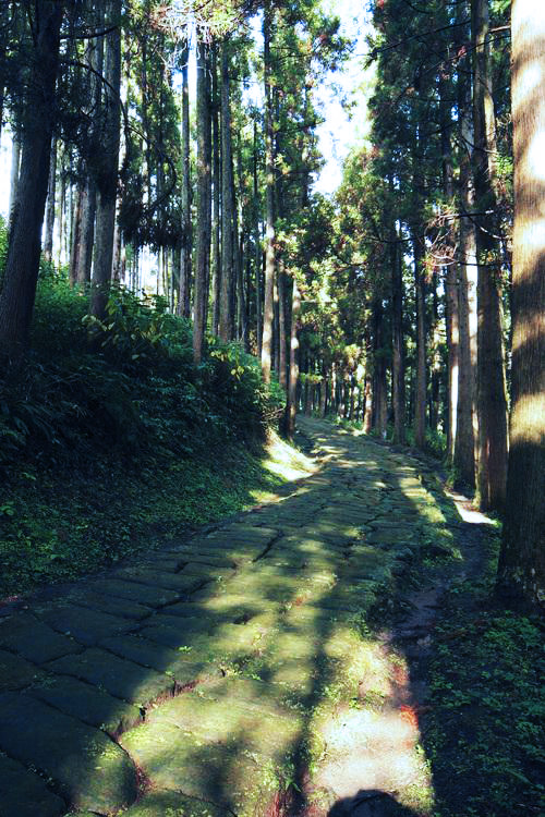 Tatsumonjizaka Trail เดินป่า เที่ยวคาโกชิม่า