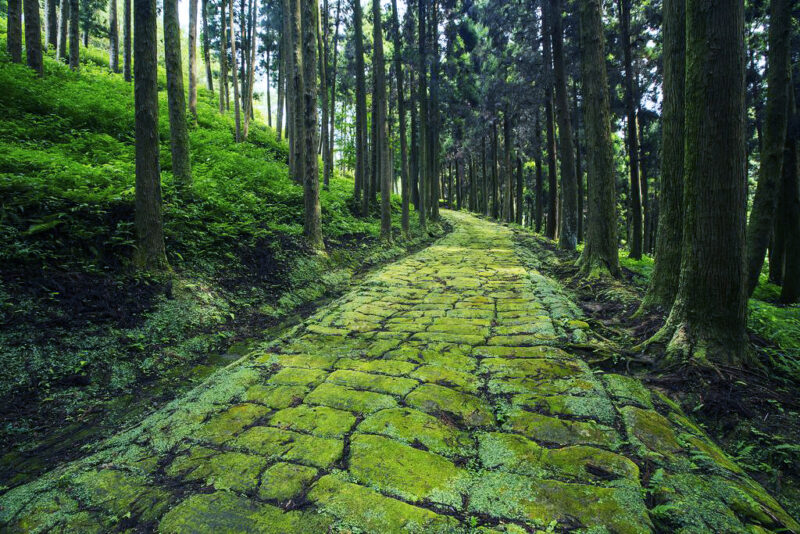 Tatsumonjizaka Trail เดินป่า จังหวัดคาโกชิม่า