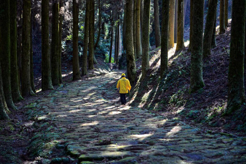Tatsumonjizaka Trail เดินป่า คาโกชิม่า