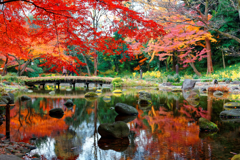 Best fall foliage spots in Tokyo - fromJapan