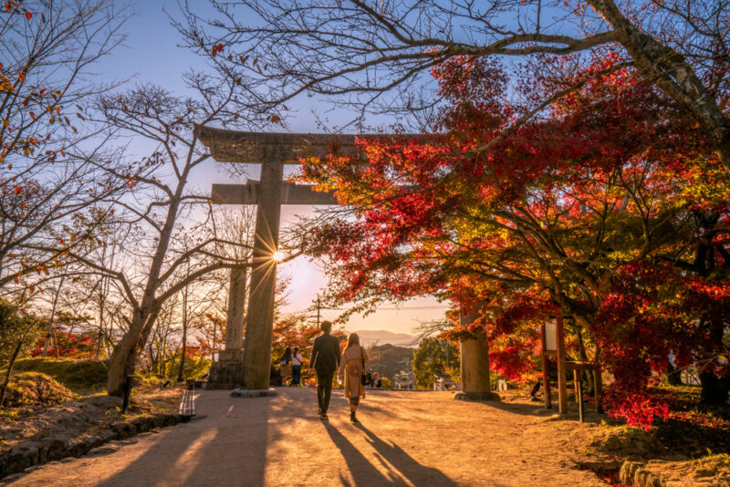 Best fall foliage spots in Fukuoka fromJapan