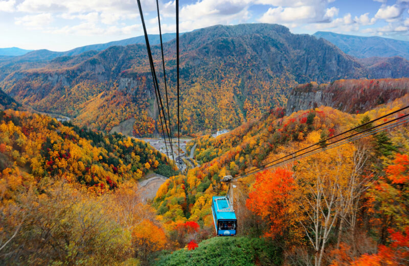 Best fall foliage spots in Hokkaido fromJapan