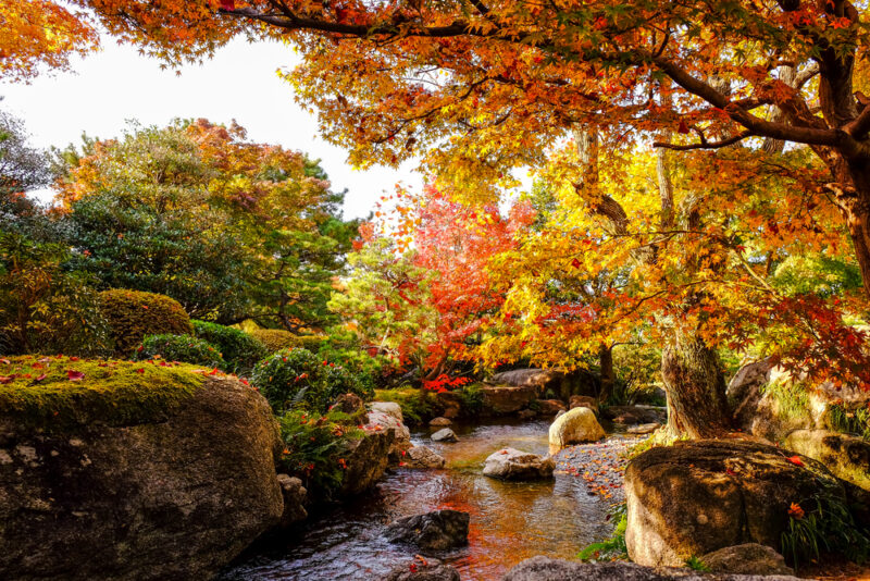 Best fall foliage spots in Fukuoka - fromJapan