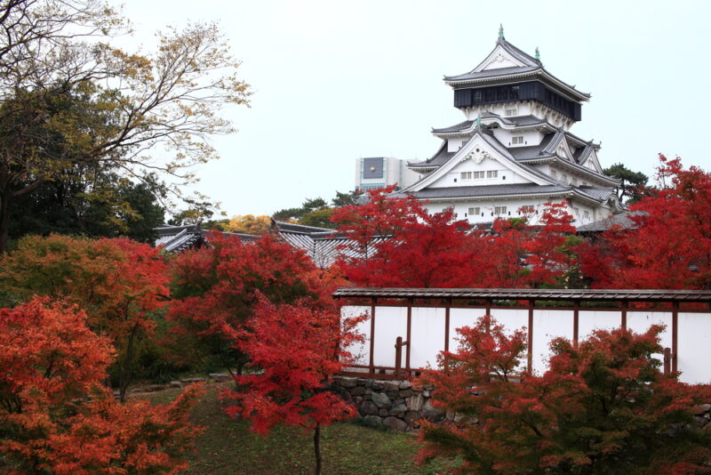 Best fall foliage spots in Fukuoka fromJapan