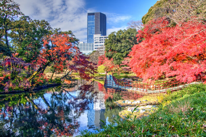 Best fall foliage spots in Tokyo