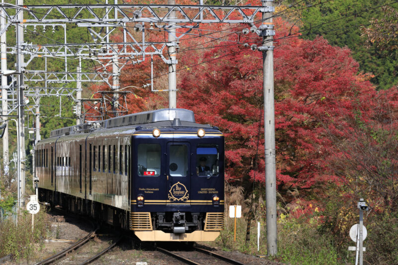 To Yoshino on the Blue Symphony Express, Travel From Osaka To Nara, Sightseeing Kintetsu Train, Nara Tourism