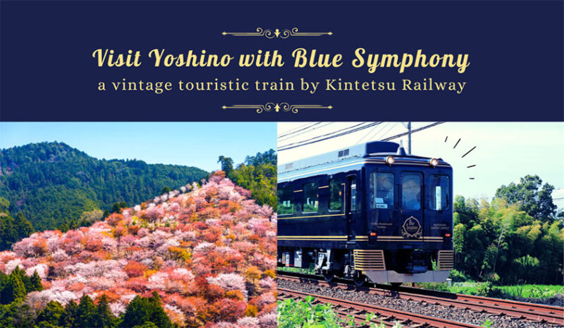 Visit Yoshino with Blue Symphony, a vintage touristic train by Kintetsu  Railway - fromJapan