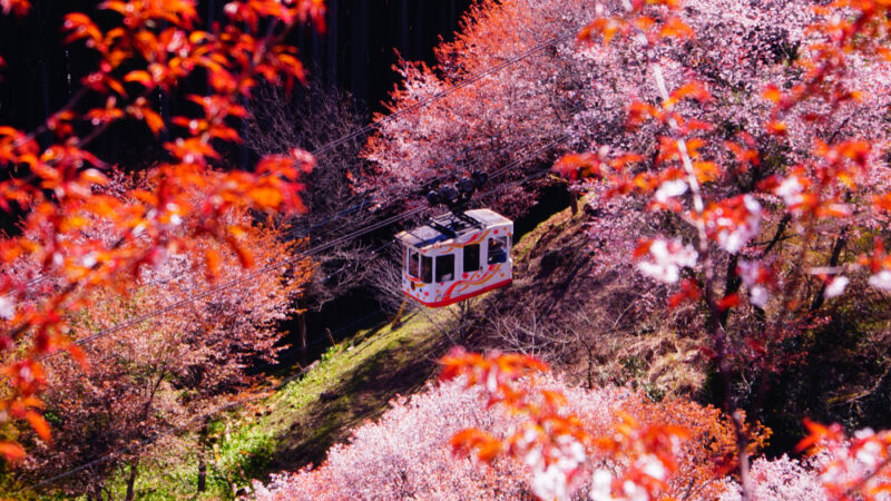 吉野纜車