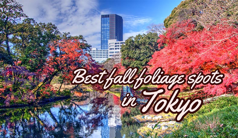 best-fall-foliage-spots-in-tokyo-fromjapan