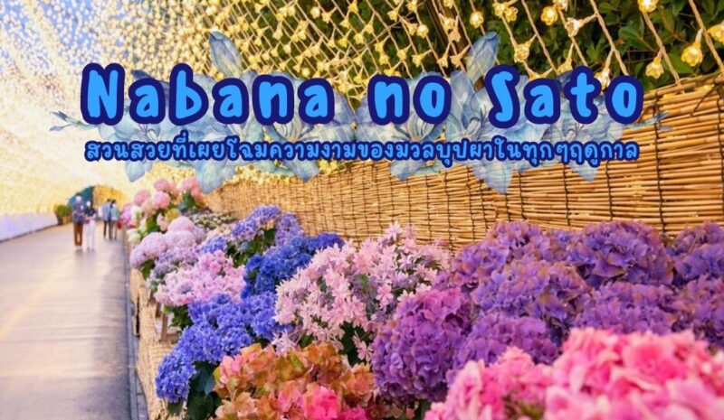 สวนดอกไม้ Nabana no Sato