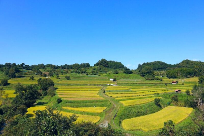 Inabuchi Terrace Fields in Asuka Nara