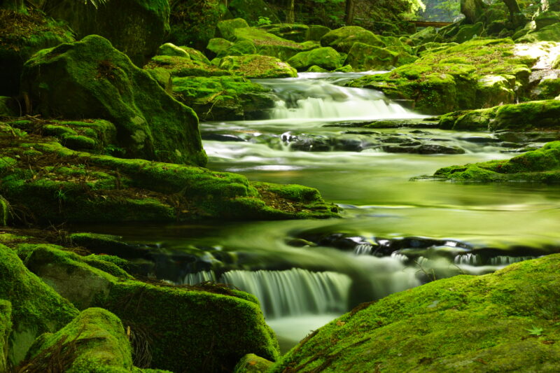 น้ำตก 48 สายแห่งอากาเมะ Akame 48 Waterfalls