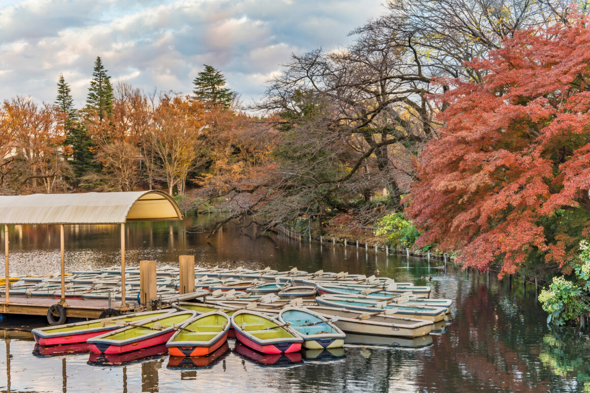 Fall Foliage Spots Tokyo