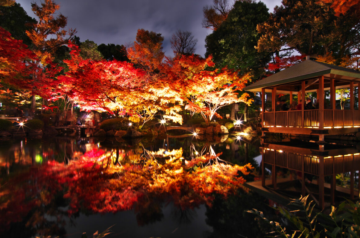 Fall Foliage Spots Tokyo