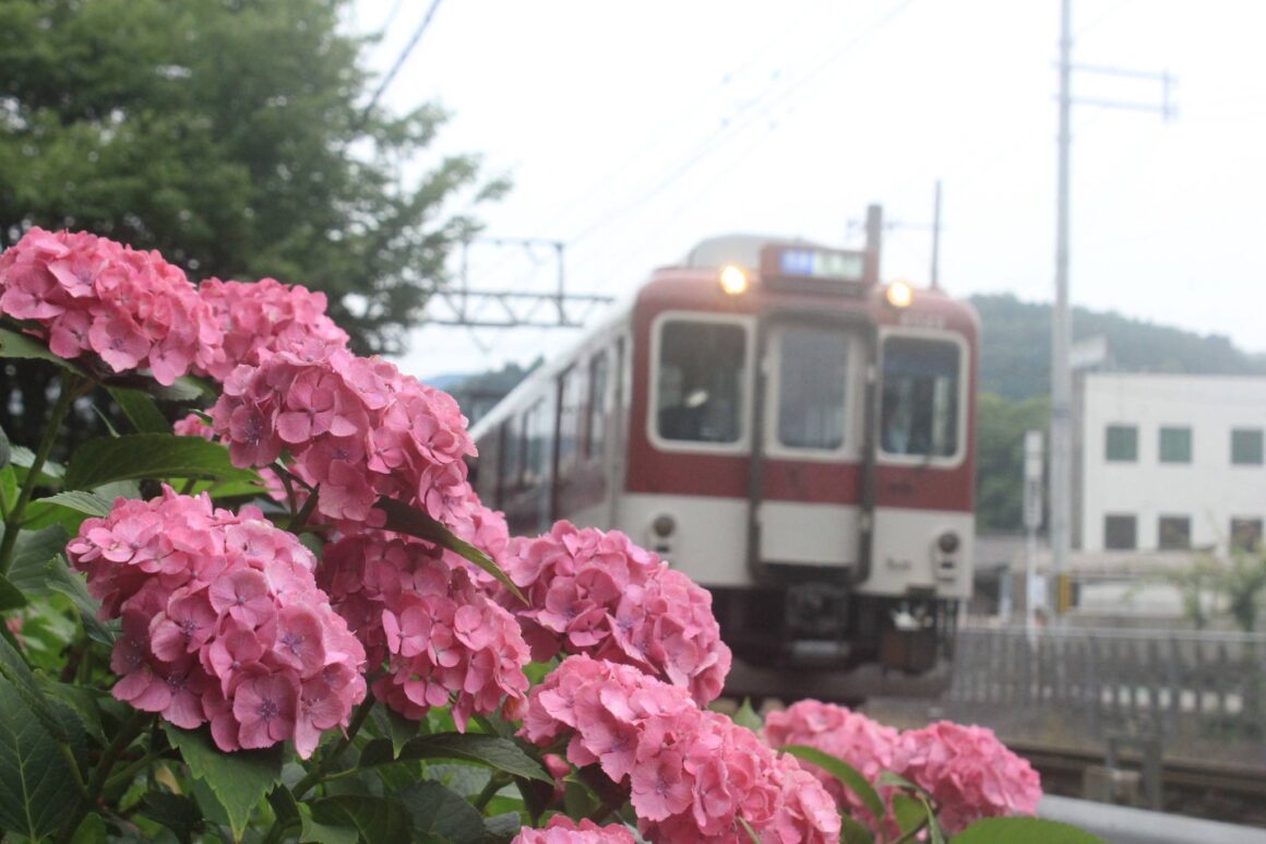 อัปเดตแดนอาทิตย์อุทัยโดยรถไฟคินเท็ตสึ มิถุนายน 2024