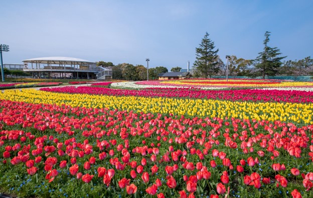 Nabana no Sato Shima City Tourist Farm