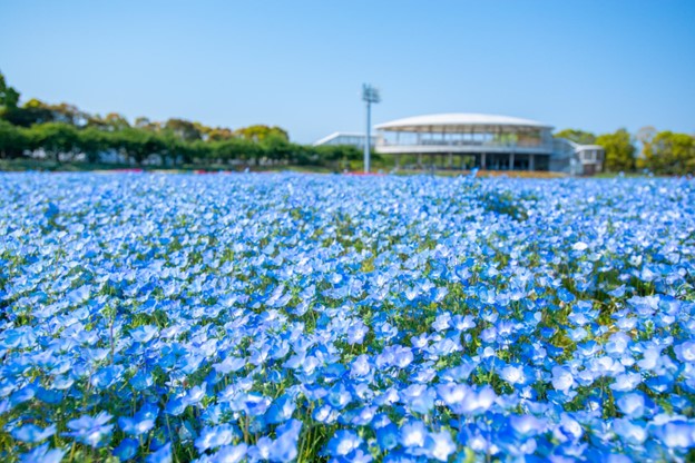 Nabana no Sato Shima City Tourist Farm