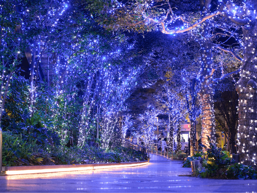 Tokyo skytree Dream Christmas 2024