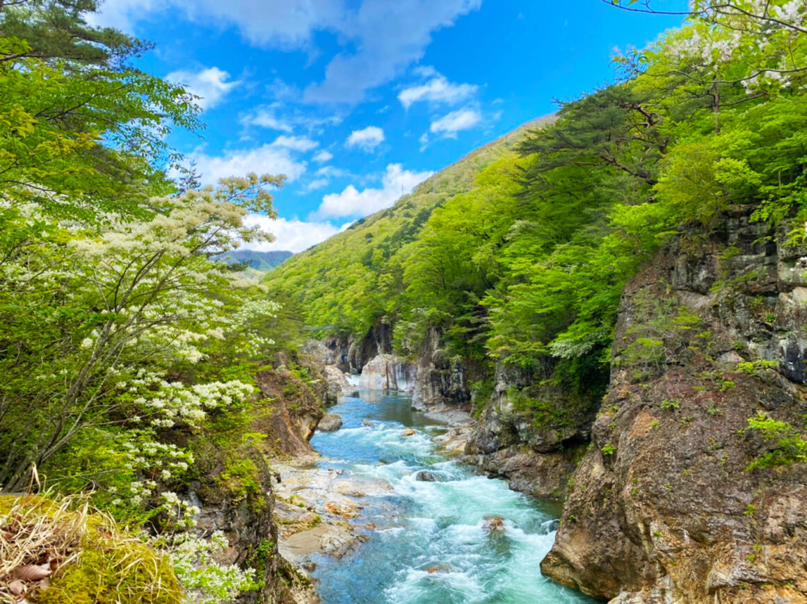 นิกโก้ (Nikko)