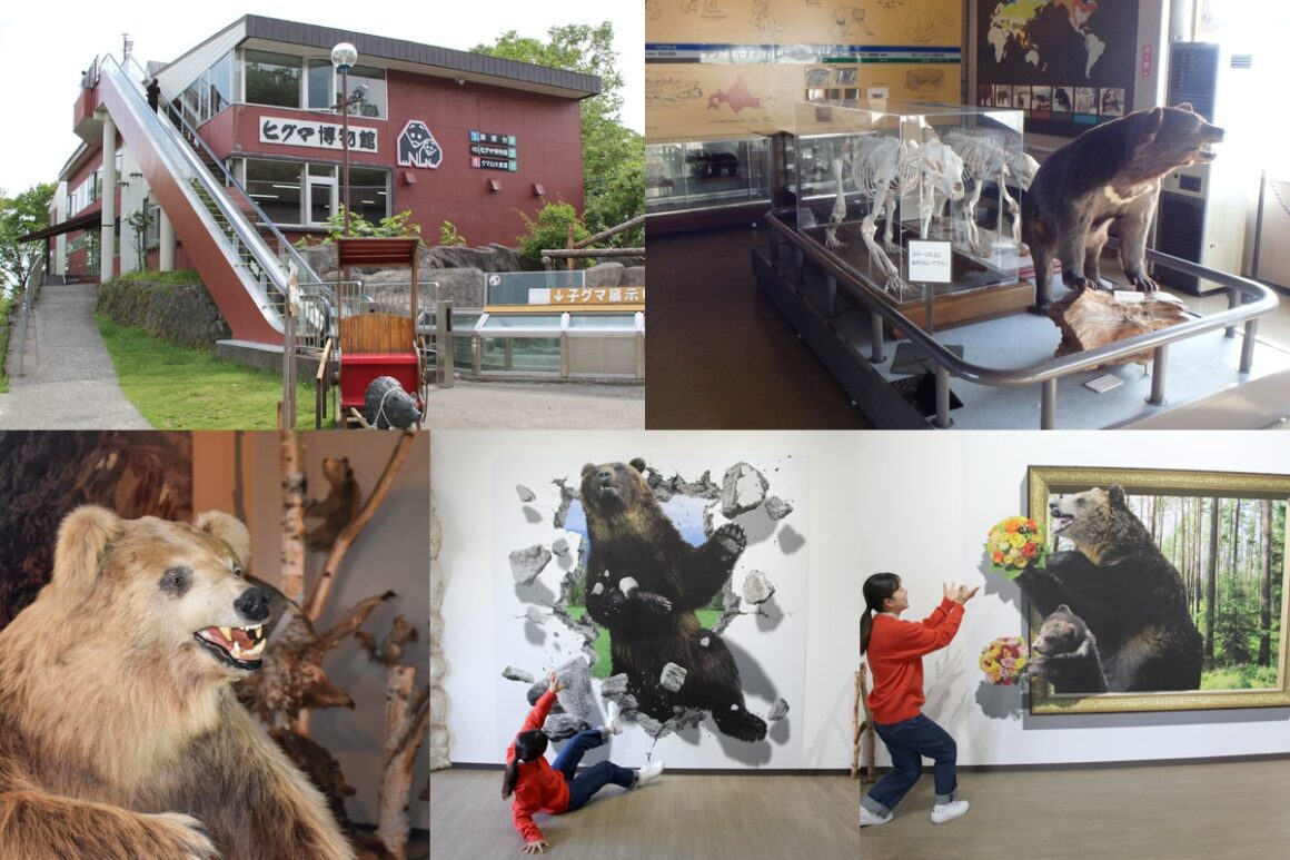 หมี ฮอกไกโด Noboribetsu Bear Park