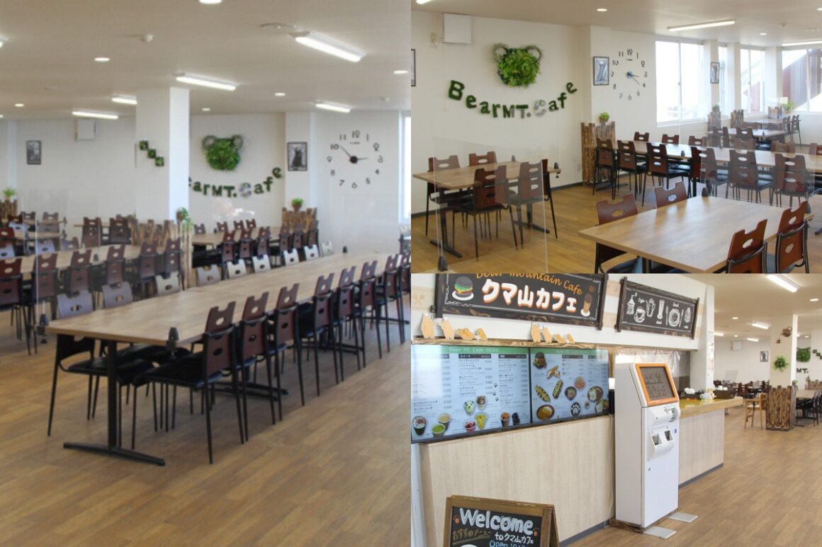 หมี ฮอกไกโด Noboribetsu Bear Park