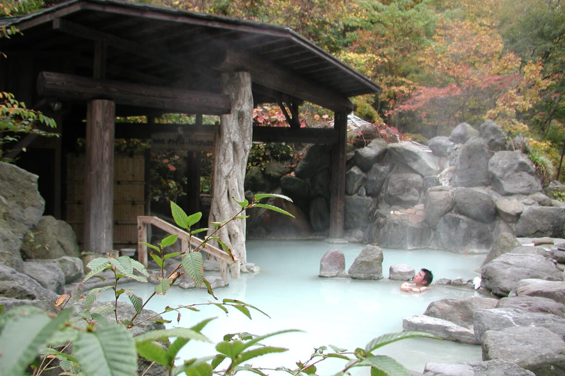 นิกโก้ (Nikko)