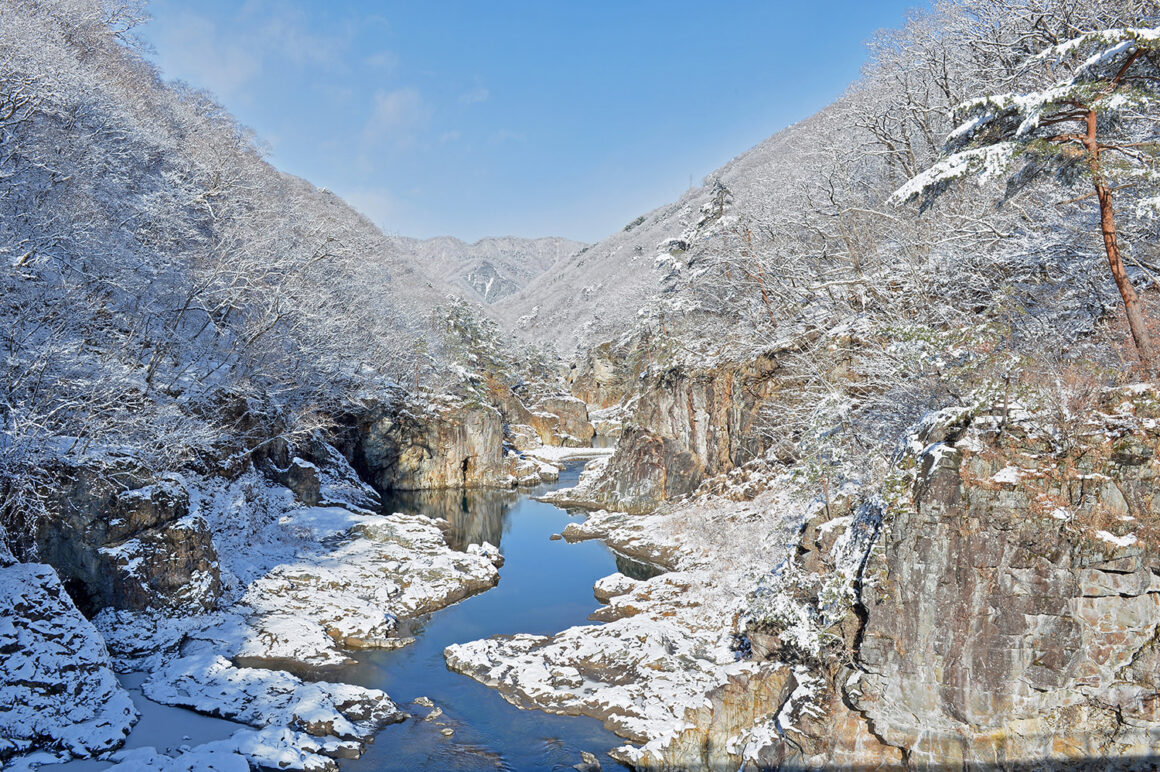 นิกโก้ (Nikko)