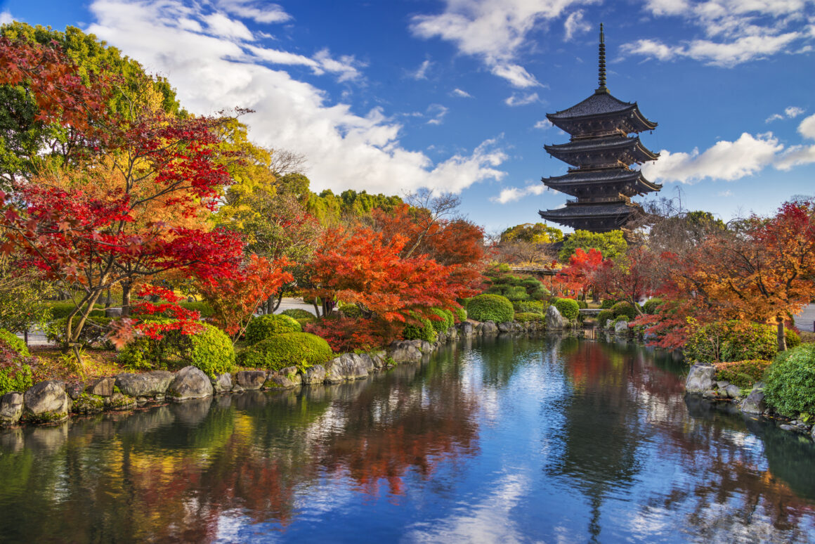 Kintetsu Rail Pass Digital Ticket Guide