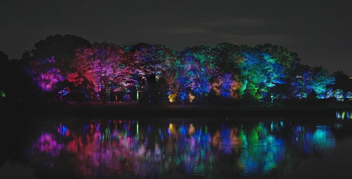 สวนพฤกษศาสตร์นากาอิ