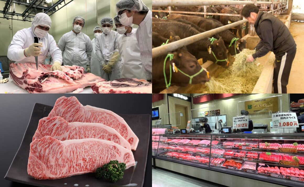 WAGYU SUGIMOTO เนื้อวัววากิวญี่ปุ่น