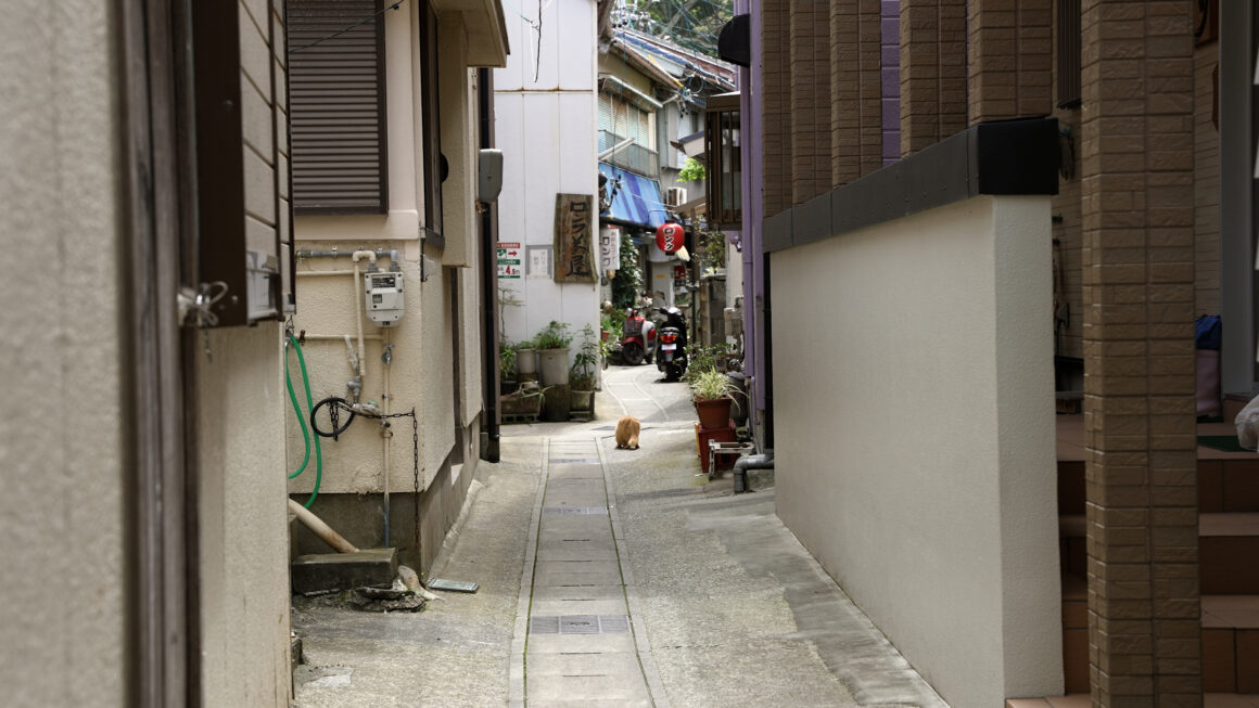 Kintetsu Railway Monthly News in Febuary 2026